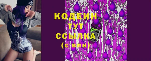 соль ск Инта