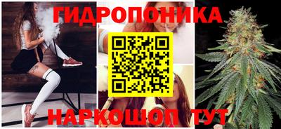 крисы Кимры